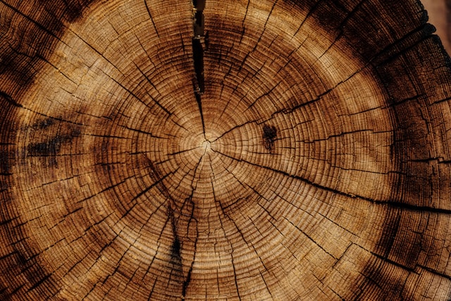 Czym jest oleje do podłóg drewnianych?