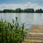 Wspaniałe uroki Jeziora Dzierżno Duże - odkryj niezwykłe piękno natury