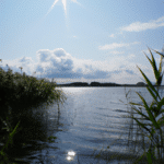 Odkryj urok Jeziora Pogoria IV w Kuźnicy Warężyńskiej - raj dla miłośników natury