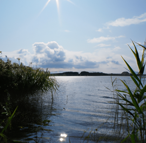 Odkryj urok Jeziora Pogoria IV w Kuźnicy Warężyńskiej – raj dla miłośników natury