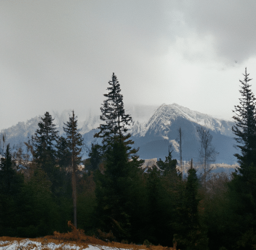Pogoda w Zakopanem – Przewodnik po klimacie i warunkach atmosferycznych w górskim kurorcie