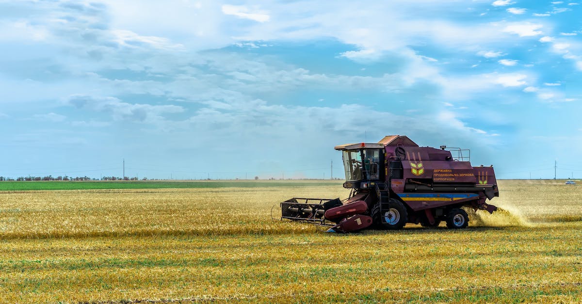 Przemysł w cieniu rolnictwa: Analiza postępujących zmian w polskiej gospodarce